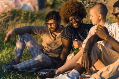 near while sitting on the grass, drinking beer, talking and laughing. Summer holidays. High quality photo