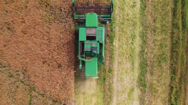 Вид Зверху Сільськогосподарську Машину Зелений Комбайн Працює Родючій Землі Повній — стокове відео