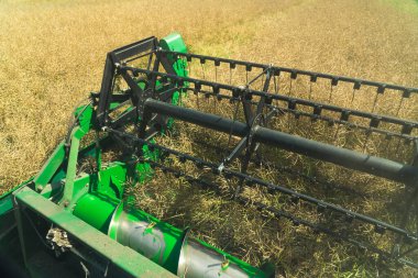 Close up of a spinning combine reel harvesting oilseed rape in the middle of a large field surrounded by nature during late summer or autumn. High quality photo