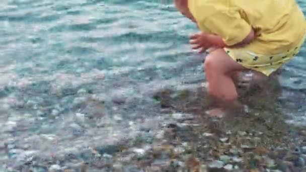 Toddler Playing Stones Walking Barefoot Rocky Beach Crystal Clear Sea — 비디오