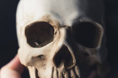 A person holding a real human ancient skull, upper half, eyes and nose close-up. High quality photo
