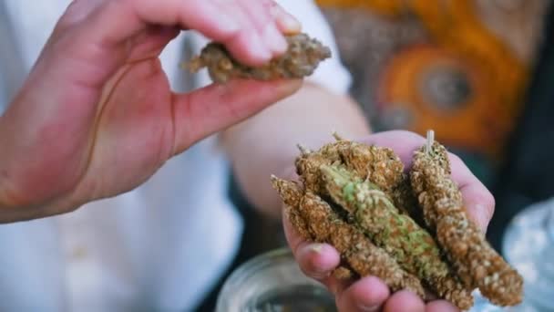 Close Hands Holding Marijuana Nuggets Presenting Buyers Outdoors Market Selling — Vídeo de Stock