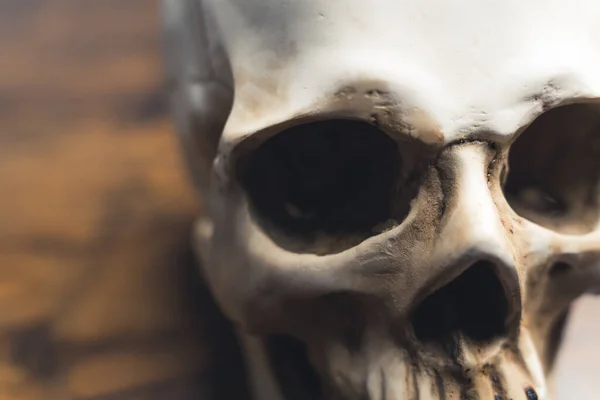 解剖学だ テーブルの上の人間の頭蓋骨のクローズアップ 人間の頭蓋骨の解剖学的に正しい医療モデル 高品質の写真 — ストック写真