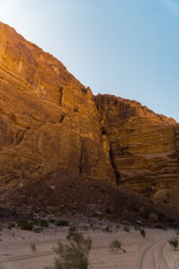 Ürdün 'de kayalık bir dağ ve vadi rom çölündeki küçük ağaçların manzarası. Yüksek kalite fotoğraf
