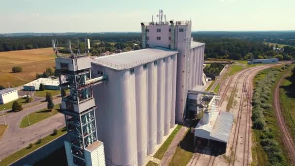Top Uitzicht Landbouwproducten Tijdschriften Lubycza Krolewska Omgeven Door Gouden Velden — Stockvideo