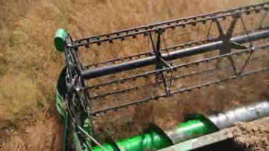 Modern agriculture concept. Combine harvester operators perspective of the reel. Rapeseed harvesting. Summertime. High quality 4k footage