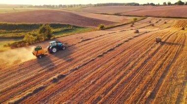 Mavi traktör saman yığınları yapıyor altın tarladan geçiyor soluk arkaplanlı yeşilliklerle çevrili. Yatay çekim. Yüksek kalite 4k görüntü
