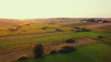 Saman balyaları ve ağaçları olan yeşil ve altın tarlaların kuş bakışı görüntüsü. Roztocze Polonya 'da sisli bir arazide gün doğumu. Yatay çekim. Yüksek kalite 4k görüntü