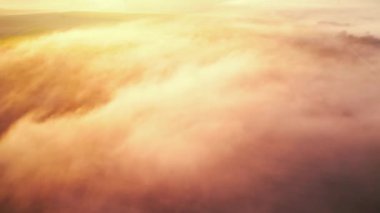 Rengarenk tarım arazilerini kaplayan kalın sis yükselen güneşten gelen turuncu jöleli sis. Roztocze Polonya 'nın sabah manzarası. Kuş bakışı görüş. Yatay çekim. Yüksek kalite 4k görüntü