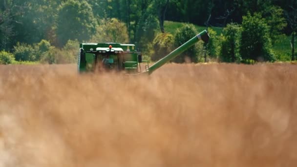 Комбайны Сбора Урожая Поле Высококачественные Кадры — стоковое видео