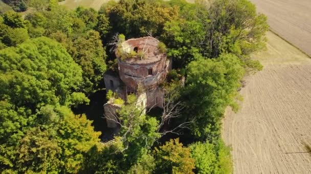 在绿茵茂密的森林中间 鸟塞耶看到了被破坏的废弃教堂的外部 塔楼没有屋顶 古寺的废墟侧向射击 高质量的4K镜头 — 图库视频影像