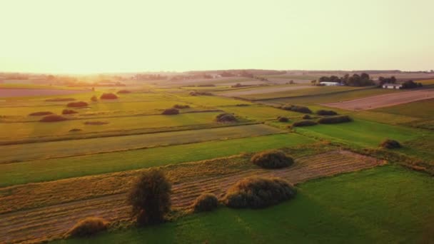 Pemandangan Birdseye Tentang Ladang Hijau Dan Emas Dengan Tumpukan Jerami — Stok Video