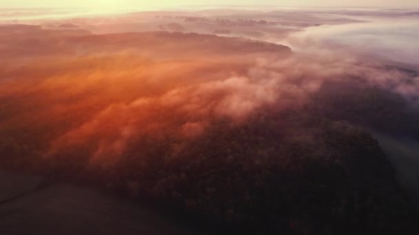 Толстый Туман Распространяется Над Лесом Сельскохозяйственными Полями Время Красочного Восхода — стоковое видео