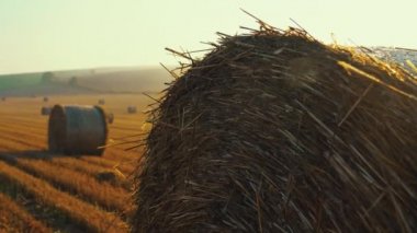 Sabaha saman balyaları olan altın tarlalar. Açık mavi gökyüzü, parlak beyaz güneş ve sisli ufuk. Doğa manzarası. Yatay çekim. Yüksek kalite 4k görüntü