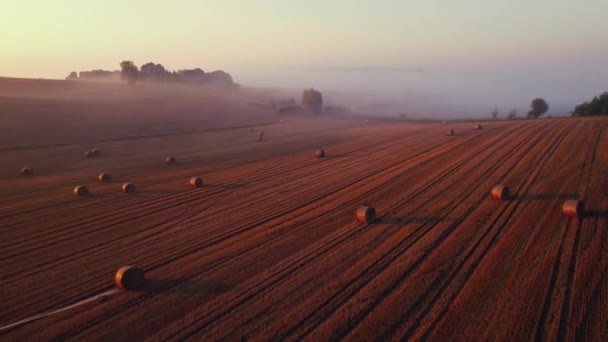 霧の背景と木と干し草の俵と広大な農場フィールドの広いビュー カラフルな日の出の空 水平射撃だ 高品質4K映像 — ストック動画