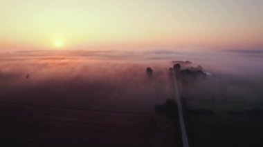 Yeşil ve altın tarlalar parlak turuncu ve pembe yükselen güneşle kaplı kalın sis ile kaplı. Roztocze Polonya 'nın tarım arazileri. Yatay çekim. Yüksek kalite 4k görüntü