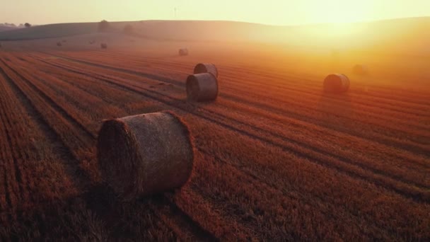 Arany Mezők Szénabálákkal Reggel Tiszta Kék Fényes Fehér Napfénnyel Ködös — Stock videók