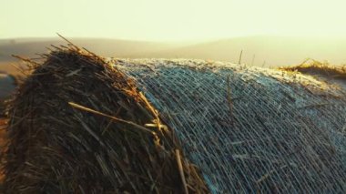 Sabaha saman balyaları olan altın tarlalar. Açık mavi gökyüzü, parlak beyaz güneş ve sisli ufuk. Doğa manzarası. Yatay çekim. Yüksek kalite 4k görüntü