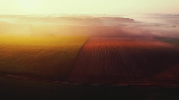 Strahlend Gelber Sonnenaufgang Und Gleißendes Licht Über Grünen Und Goldenen — Stockvideo