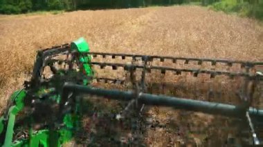 Yazın sonlarında ya da sonbaharda bir tarlada yağlı tohum tecavüzü yapan dönen makarayı kapat. Şoför koltuğu manzarası. Yüksek kalite 4k görüntü