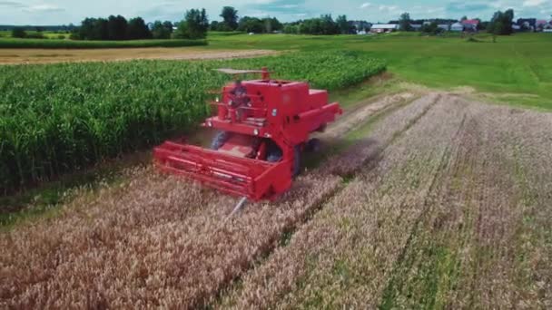 Blue Collar Work Concept Proud Combine Harvester Operator Using His — Stock video