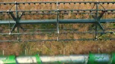 Yazın sonlarında ya da sonbaharda doğayla çevrili büyük bir tarlanın ortasında yağlı tohum tecavüzü yapan dönen makarayı kapat. Şoför koltuğu manzarası. Yüksek kalite 4k görüntü