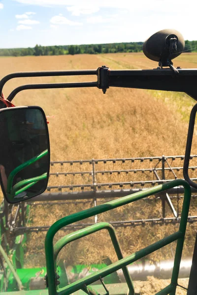 Harvesting process from unusual perspective. Vertical shot from combine harvesters operators cap. View on cutter bar. . High quality photo