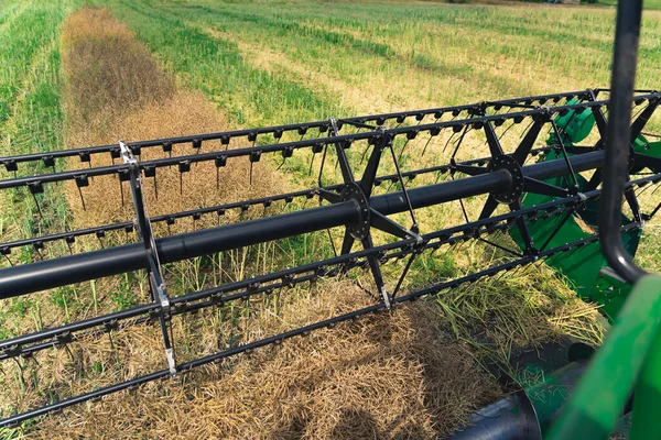 Reel Modern Combine Harvester Seen Operators Cab Rapeseed Harvesting Process — Stock Photo, Image