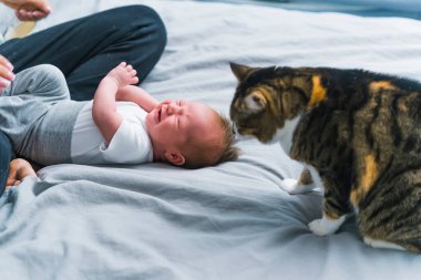 Yanında bir kedi ve annesi olan küçük bir çocuk yatağın üzerinde oturuyor. Ağlayan ve uyumak isteyen bir çocuk. Yüksek kalite fotoğraf