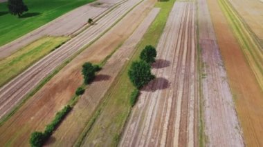 Yeşil ve kahverenginin çeşitli tonlarında güzel tarım arazilerinin insansız hava aracı panoraması. Sanayi konsepti. Çiftçi ve toprak. Fiziksel iş. Yüksek kalite 4k görüntü
