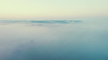 Yoğun, yoğun, yoğun sis, tepeleri ve ormanları usulca kaplıyor. Gün doğumu ışığı. İHA 'lı kuşların bakış açısı. Doğal fenomen. Yüksek kalite 4k görüntü