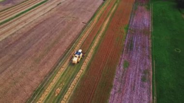 Hasat sırasında rengarenk tarım arazilerinin havadan görünüşü. Tek bir traktör ya da kırsal makina kuş bakışı olarak görülüyor. - Evet. Yüksek kalite 4k görüntü