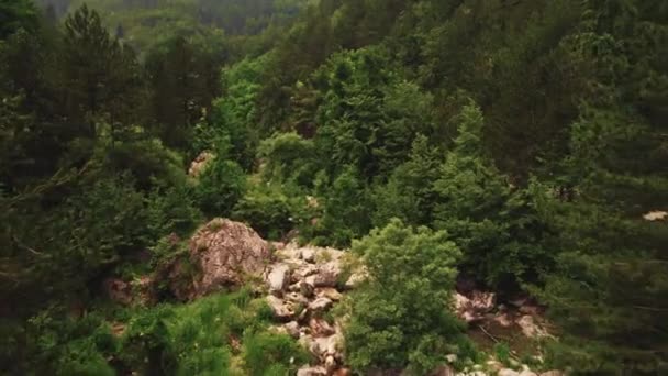 Různé Túry Stezky Řece Prionia Olympu Přírodní Nedotčené Horské Prostředí — Stock video