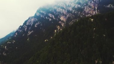 Olimpos Dağı - Yunan tanrılarının mitolojik evi. Tepenin koyu yeşil orman ağaçlarıyla kaplı bir kısmının havadan bakış açısı. Bulutlu gökyüzü. Yüksek kalite 4k görüntü