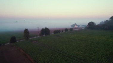 İdealist tarım arazilerinin ve kırsal alanların gizemli sisli manzarası. İnsansız hava aracı çiftçi arazisi, çiftlik evi ve konut perspektifi. Sabahın köründe. Yüksek kalite 4k görüntü