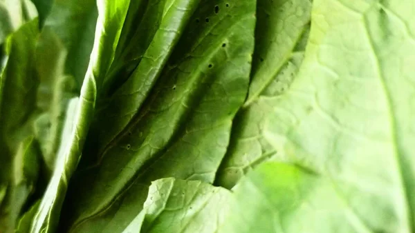 Cette Photo Moutarde Verte Fraîche Convient Pour Fond Légumes — Photo