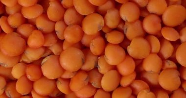 Kırmızı mercimek dalını döndüren makro yakın plan 