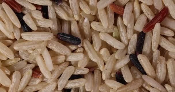 Míchaný Nízký Glykemický Index Zdravá Rýže Zrno Basmati Proso Pohanka — Stock video