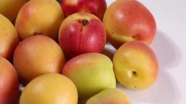 Fresh ripe juicy yellow orange red apricot fruit pile whole cut half slice seed on rustic wood background flat lay top view pan move shift 