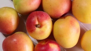 Fresh ripe juicy yellow orange red apricot fruit pile whole cut half slice seed on rustic wood background flat lay top view pan move shift 