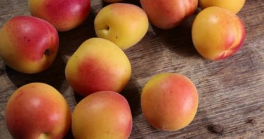 Fresh ripe juicy yellow orange red apricot fruit pile whole cut half slice seed on rustic wood background flat lay top view pan move shift 