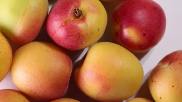 Fresh Ripe Juicy Yellow Orange Red Apricot Fruit Pile Whole — Vídeo de Stock