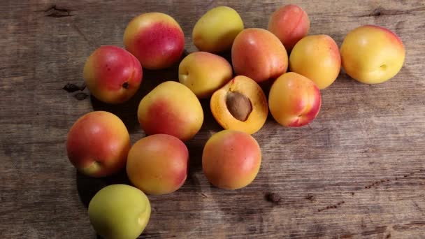 Fresh Ripe Juicy Yellow Orange Red Apricot Fruit Pile Whole — Stock Video