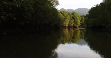 Camara shake hating wave riding gliding floating flying over sea water mangrove forest on speedboat 