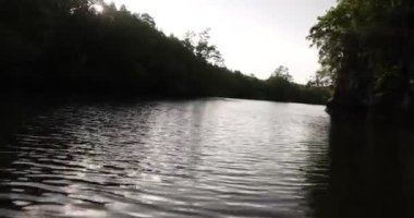 Camara shake hating wave riding gliding floating flying over sea water mangrove forest on speedboat 