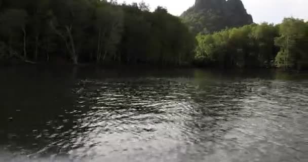Camara Shake Hating Wave Riding Gliding Floating Flying Sea Water — Stock video