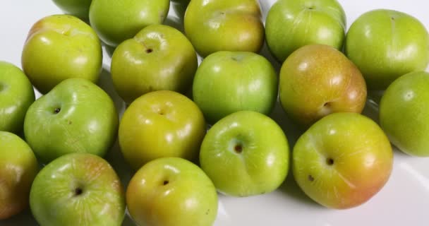 Small Mini Green Fresh Juicy Plum Fruit — Vídeo de Stock