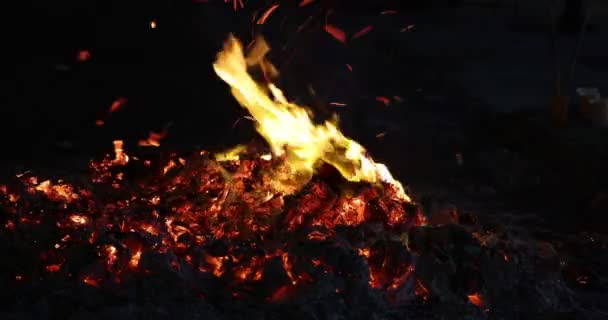 Chinese Hungry Ghost Festival Burning Flame Fire Glowing Ashes Firefly — Wideo stockowe
