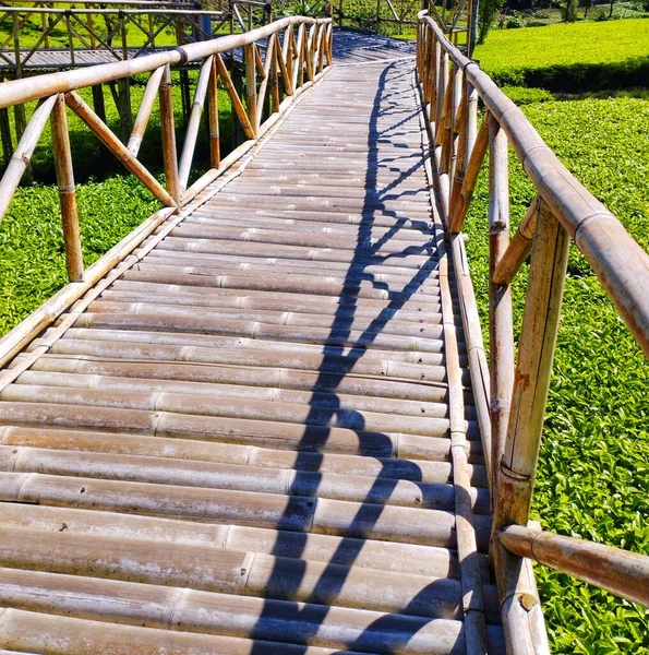 Ponte Bambu Entre Plantações Chá — Fotografia de Stock