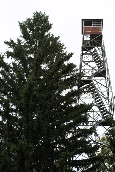 Torre Fuori Sentiero Escursionistico Del Fiume Giallo Foresta Statale Iowa — Foto Stock